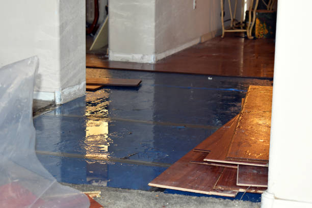 Professional Water Damage Restoration technician working in Union, MS